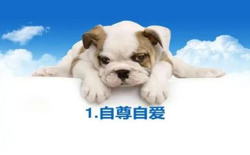 自尊自信演讲稿7篇