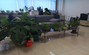 综合部综合部年度工作总结7篇