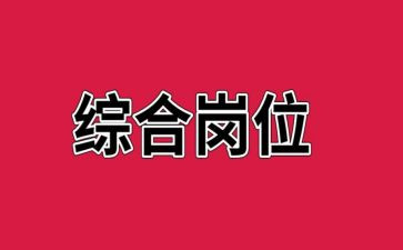 综合岗的个人年终总结7篇