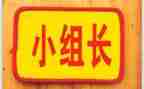 工作组长述职报告7篇