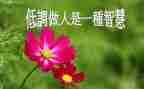 做人心得体会5篇